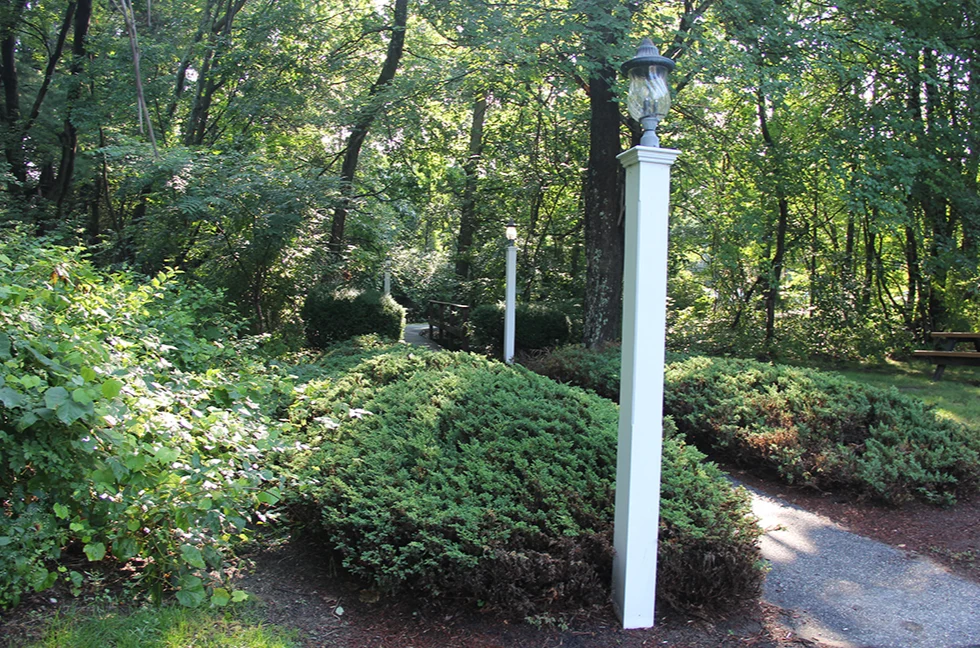 Image of Willow Brook Rehab & Healthcare Center (8)