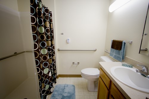 Full Size Walk-In Shower
