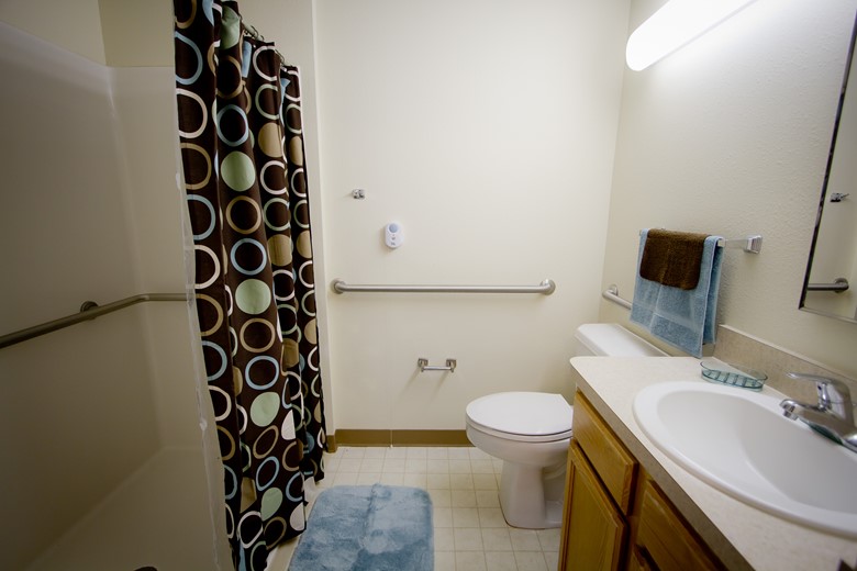 Full Size Walk-In Shower