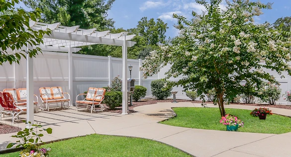 Image of AVIVA Maybelle Carter (3)