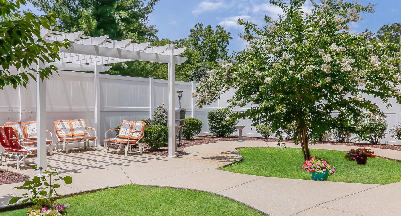 Image of AVIVA Maybelle Carter (3)