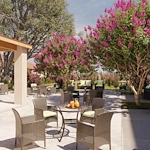 Image of Ativo Senior Living of Yuma (2)