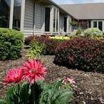 Image of The Courtyard at Sterling Heights (4)