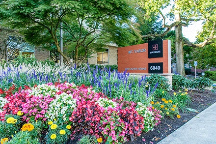 Image of Mt. Tabor Health & Rehabilitation (5)