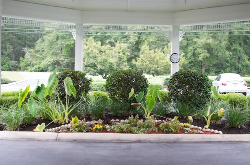 Image of The Legacy of Hartsville (6)
