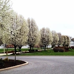 Image of Homewood At Martinsburg Senior Living (5)