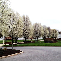 Image of Homewood At Martinsburg Senior Living (5)