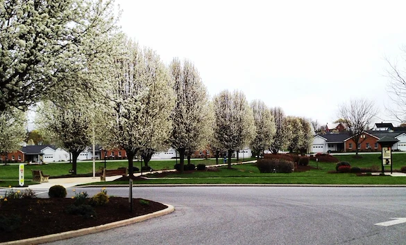 Image of Homewood At Martinsburg Senior Living (5)
