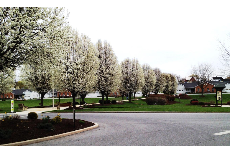 Image of Homewood At Martinsburg Senior Living (5)