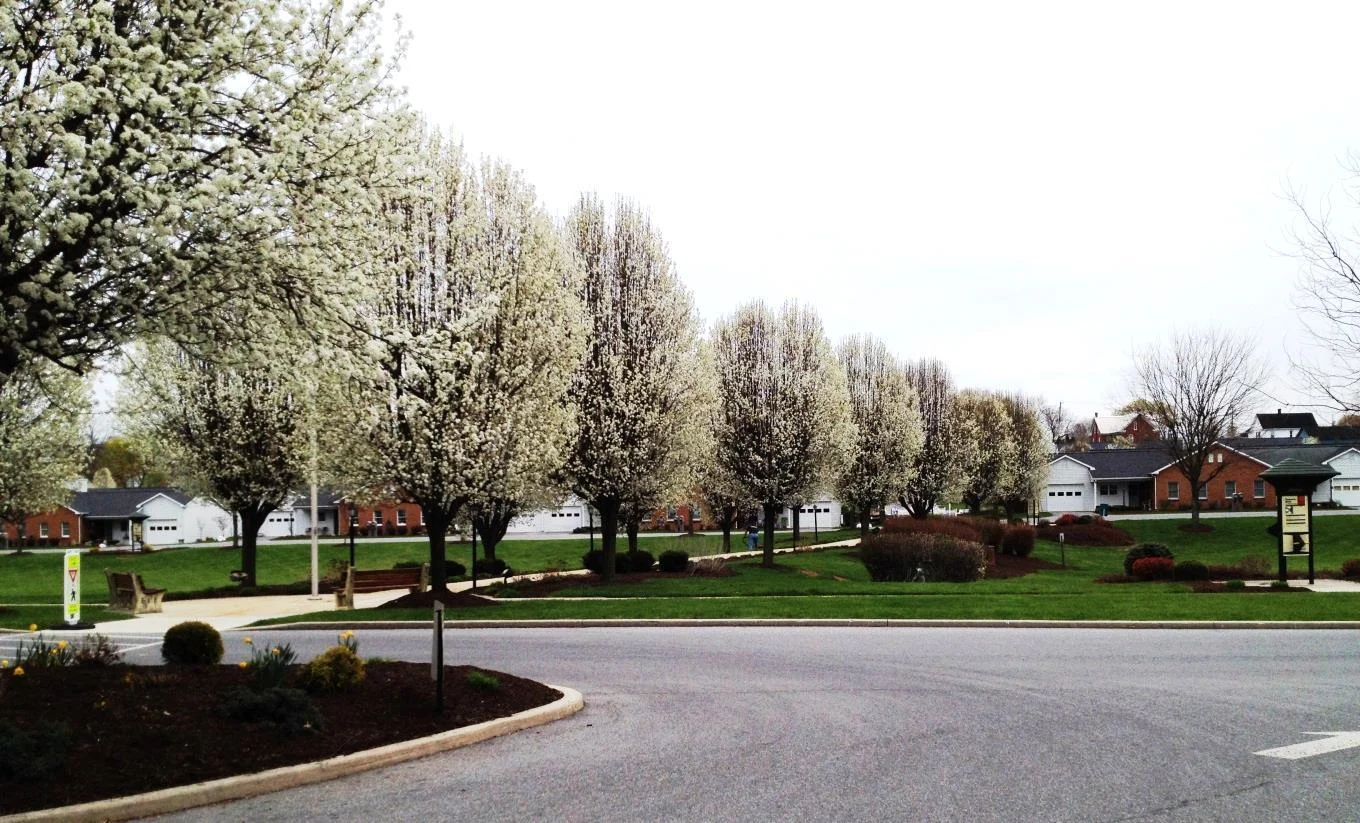 Image of Homewood At Martinsburg Senior Living (5)