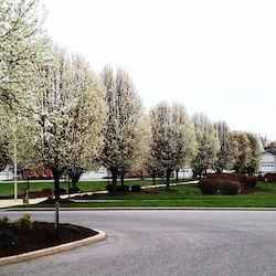 Image of Homewood At Martinsburg Senior Living (5)