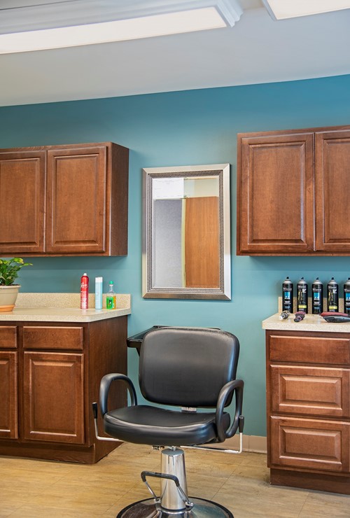 Image of American House Carpenter Senior Living (10)