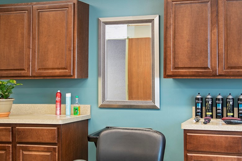 Image of American House Carpenter Senior Living (10)