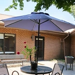 Image of Evervella Of Swansea (8)