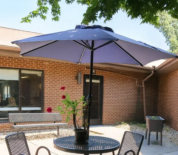 Image of Evervella Of Swansea (8)