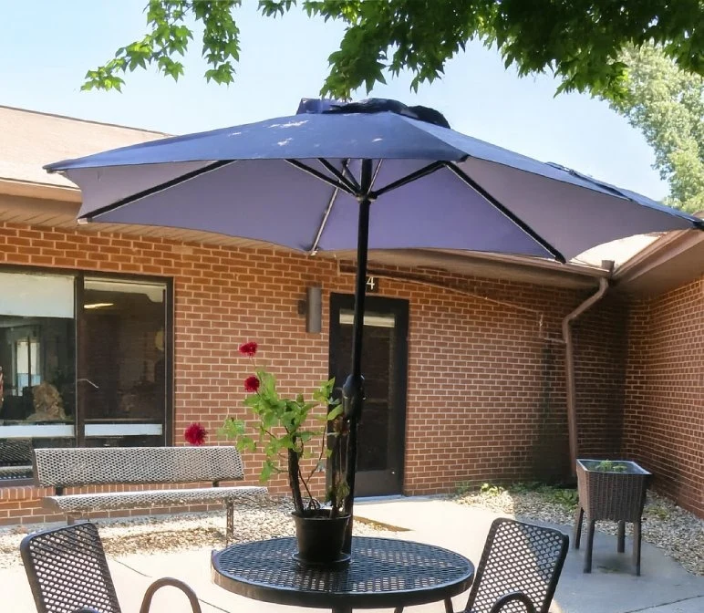 Image of Evervella Of Swansea (8)