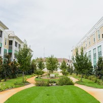 Image of The Arbors of Gulf Breeze (3)