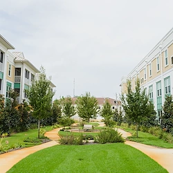 Image of The Arbors of Gulf Breeze (3)