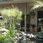 Image of Stanford Court Skilled Nursing & Rehab (1)