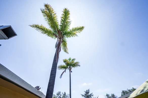 Image of Watsonville Nursing Center (2)
