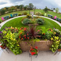 Image of Park Gardens of Fergus Falls (3)