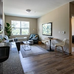 Image of Silver Birch of Mishawaka (9)