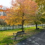 Image of Elderwood At Cheektowaga (5)