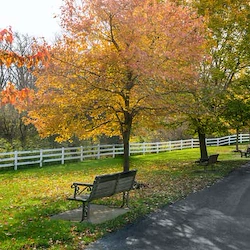Image of Elderwood At Cheektowaga (5)