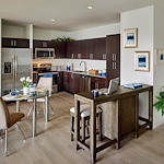 Image of Windsor at Celebration (4)