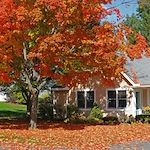 Image of Lathrop Northampton (4)