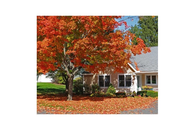 Image of Lathrop Northampton (4)
