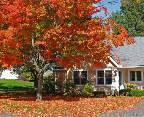 Image of Lathrop Northampton (4)