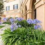 Image of Fountain Valley Post Acute (1)