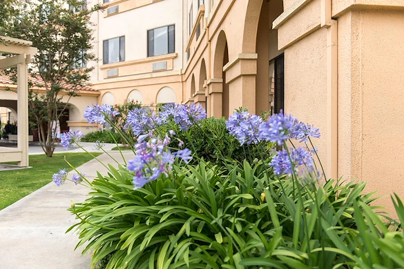 Image of Fountain Valley Post Acute (1)