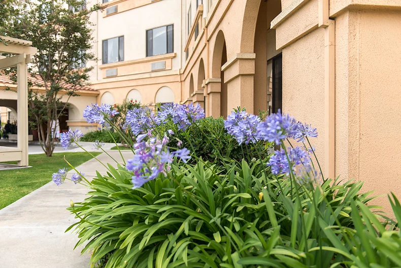 Image of Fountain Valley Post Acute (1)