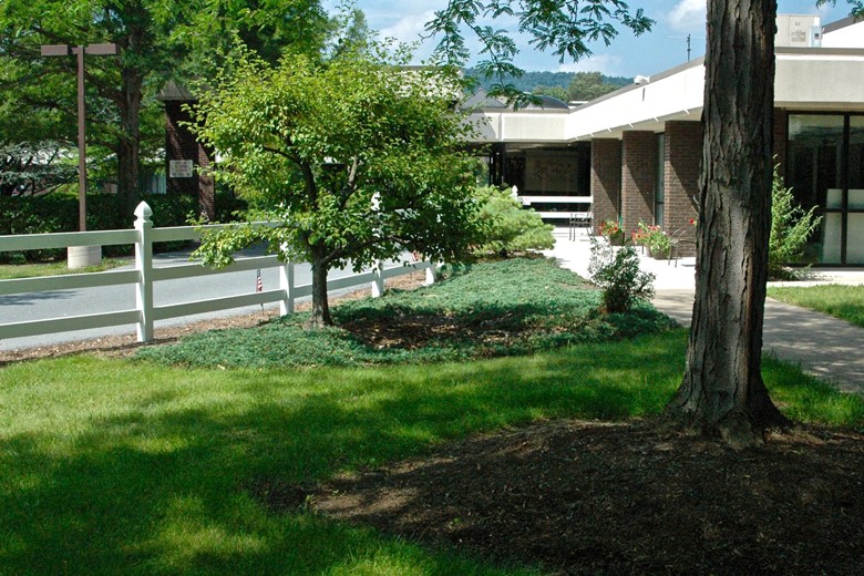 Image of The Terraces at Capitol Village (3)