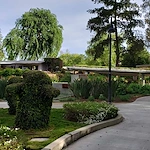 Image of Motion Picture And T.V. Hosp D/P Snf (3)