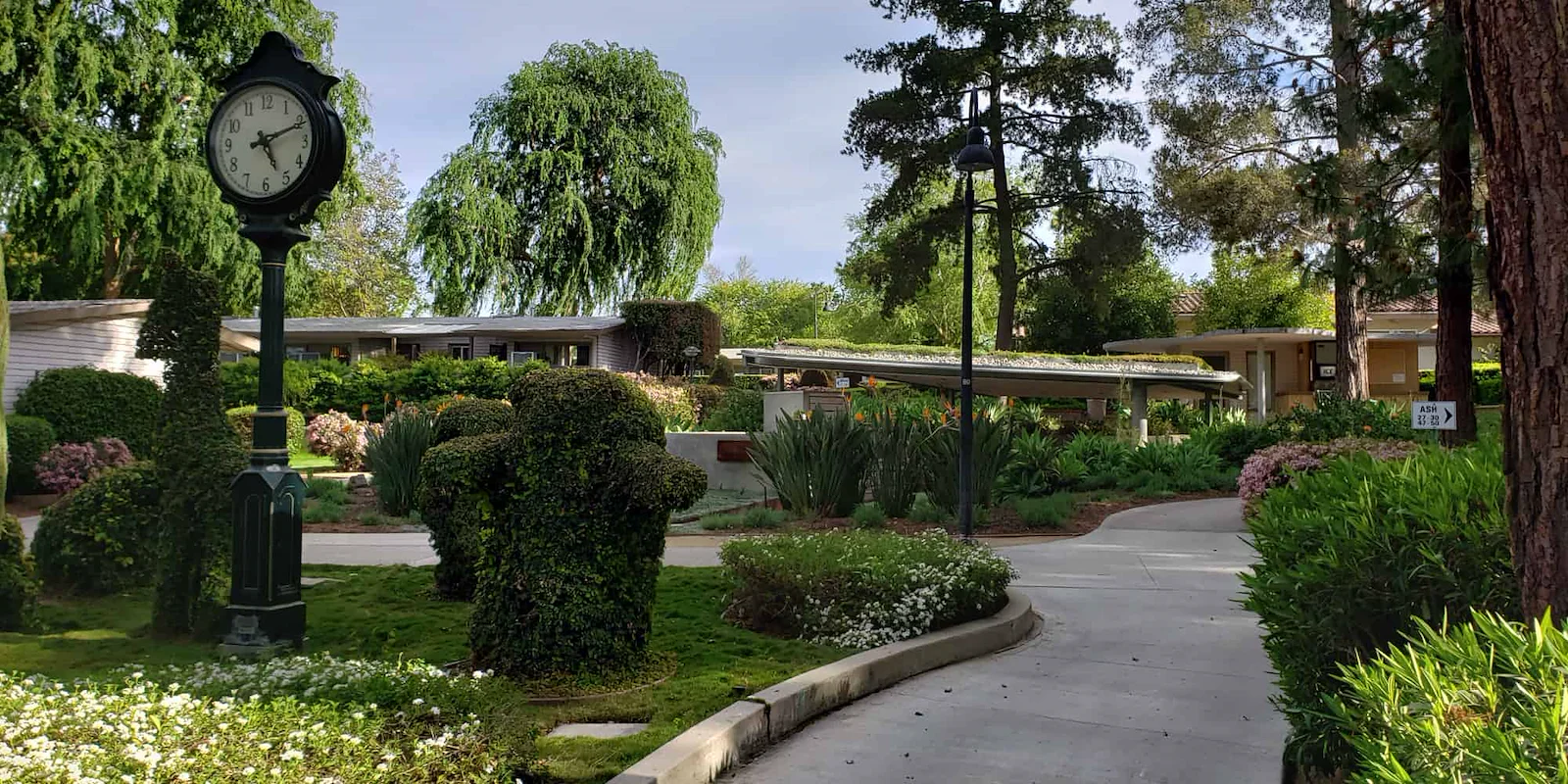 Image of Motion Picture And T.V. Hosp D/P Snf (3)