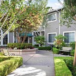 ivy-park-at-san-ramon-image-5
