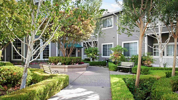 Image of Ivy Park at San Ramon (5)