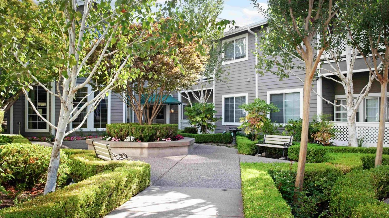 Image of Ivy Park at San Ramon (5)