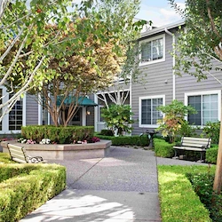 Image of Ivy Park at San Ramon (5)