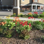 Image of Park View Health Center (2)