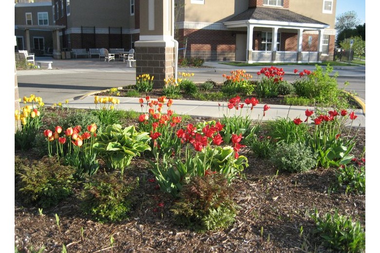 Image of Park View Health Center (2)