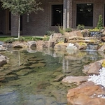 Image of Vitality Court Texas Star (10)