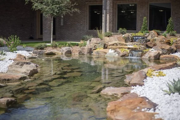 Image of Vitality Court Texas Star (10)