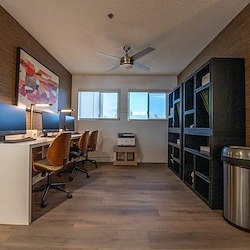 Image of Heywood Gardens (3)