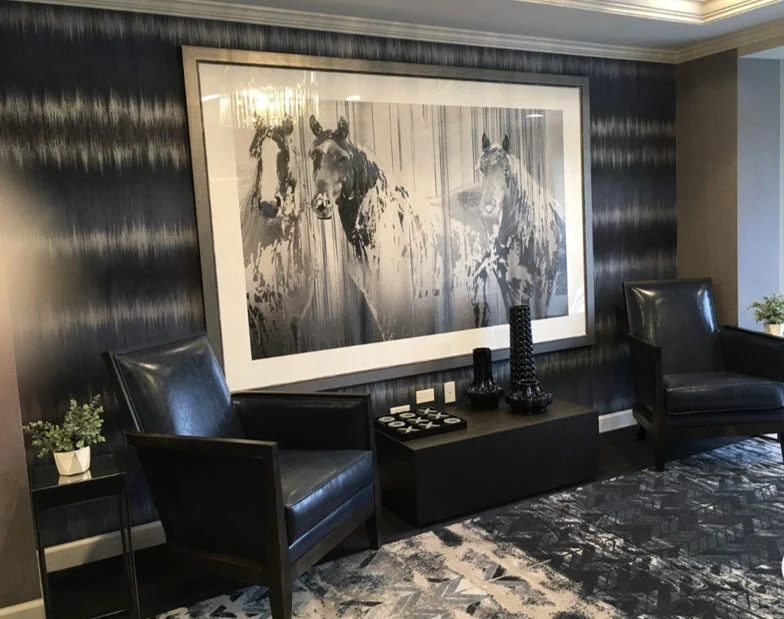 Image of New Lenox Horizon (2)