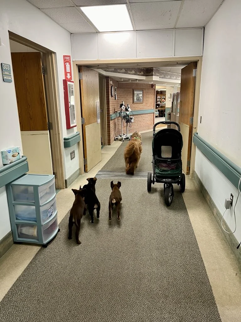 Image of Whitewater Health Services (2)