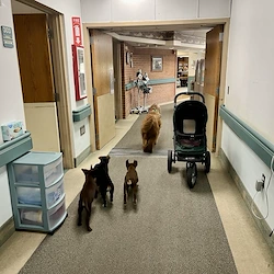 Image of Whitewater Health Services (2)